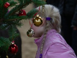 IMG_1318_web